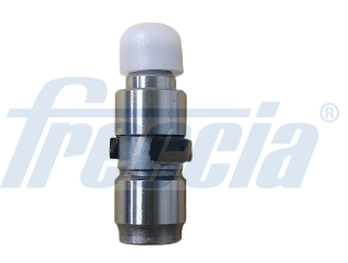 FRECCIA PI 06-0070 Ωστήριο βαλβίδας Πλευρά εισαγωγής Πλευρά εξαγωγής for BMW MINI TOYOTA